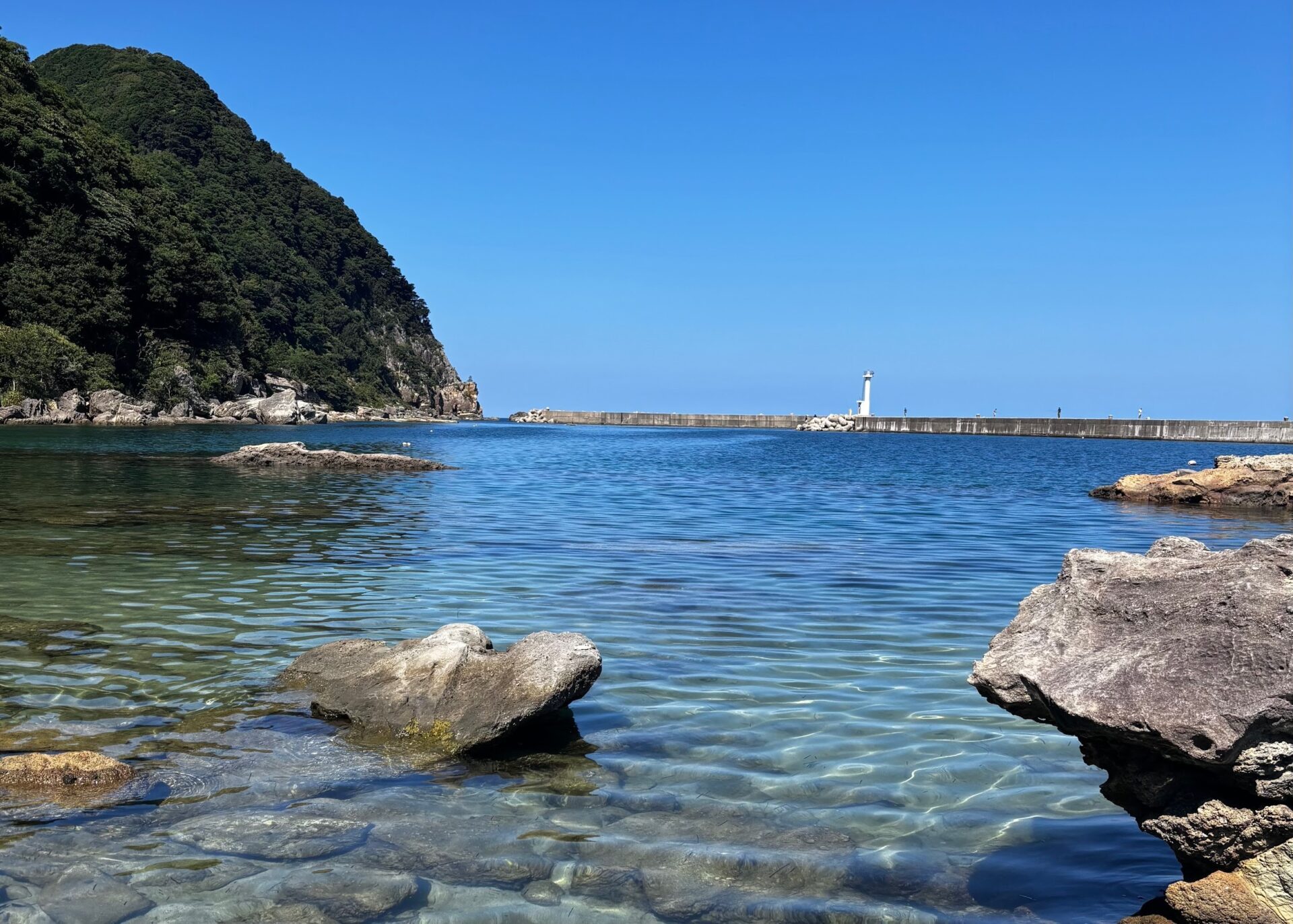 第299回学生ブログ【29きゅうDiary】『夏休みとは自分で作るものである』