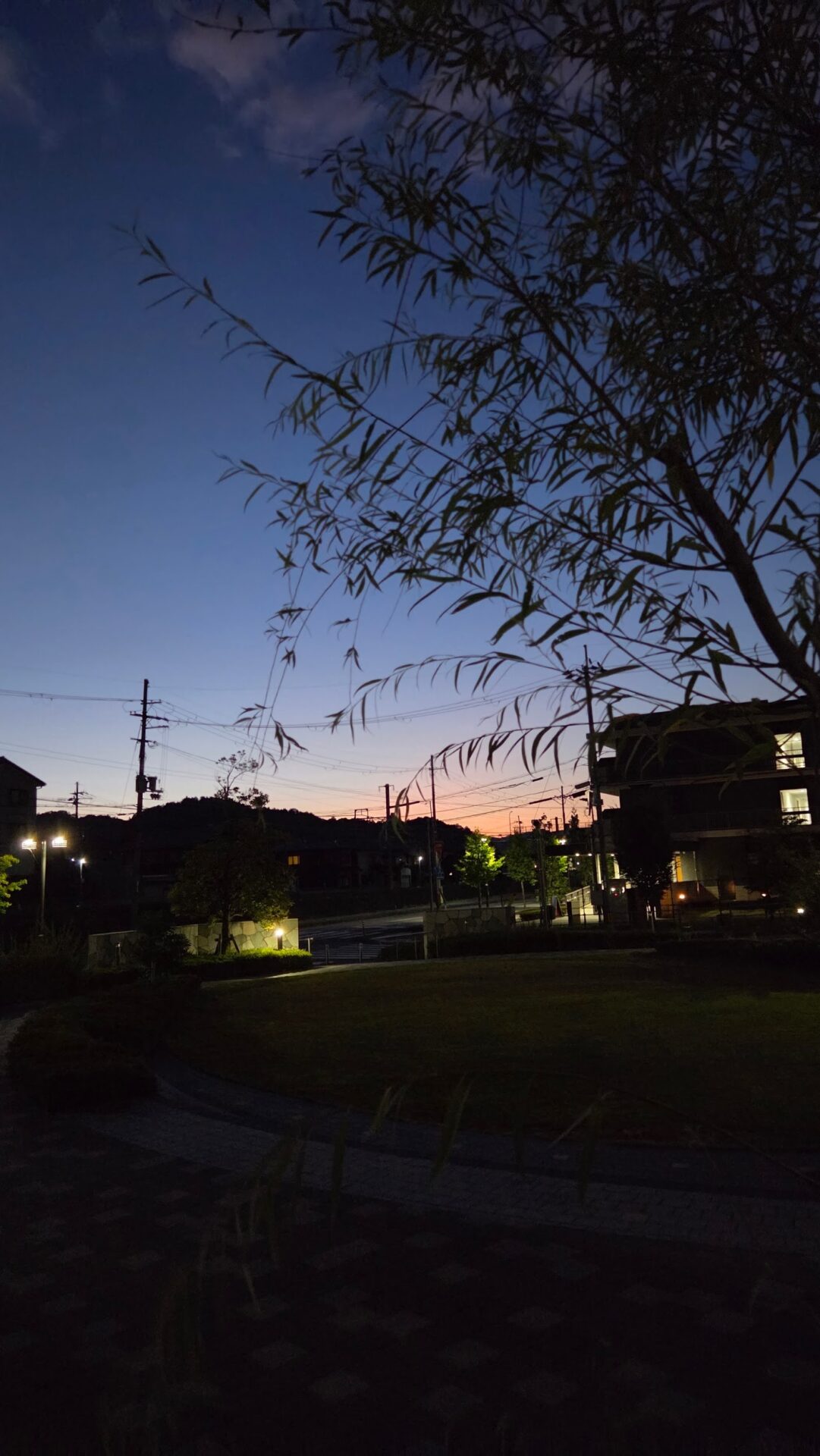 第302回学生ブログ【29きゅうDiary】「ありがとう、カナブン。」