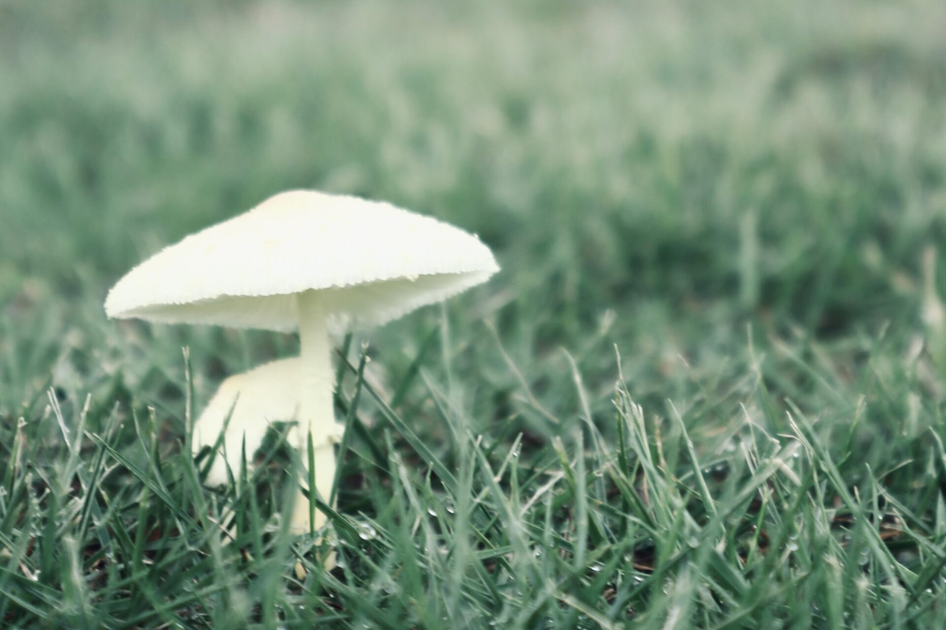 第304回学生ブログ【29きゅうDiary】「あの日電車に奪われたモノ３選」