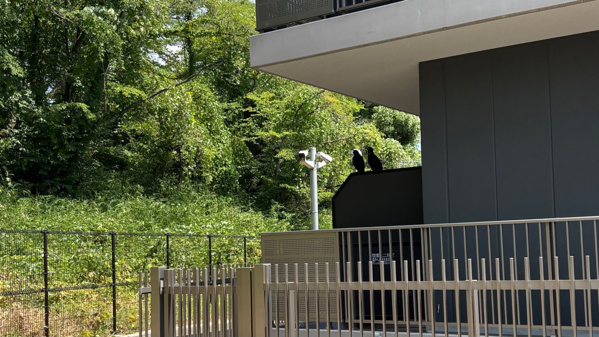 第306回学生ブログ【29きゅうDiary】「8分の1を振り返る」