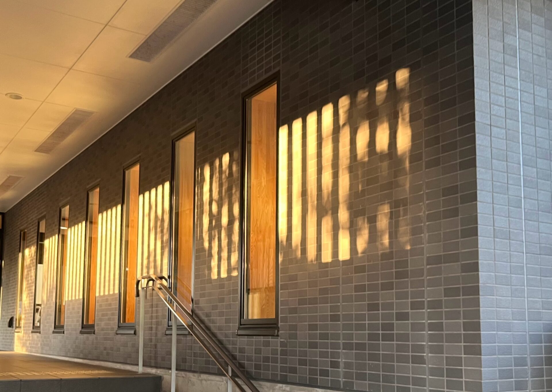 第307回学生ブログ【29きゅうDiary】「旅路は続く」