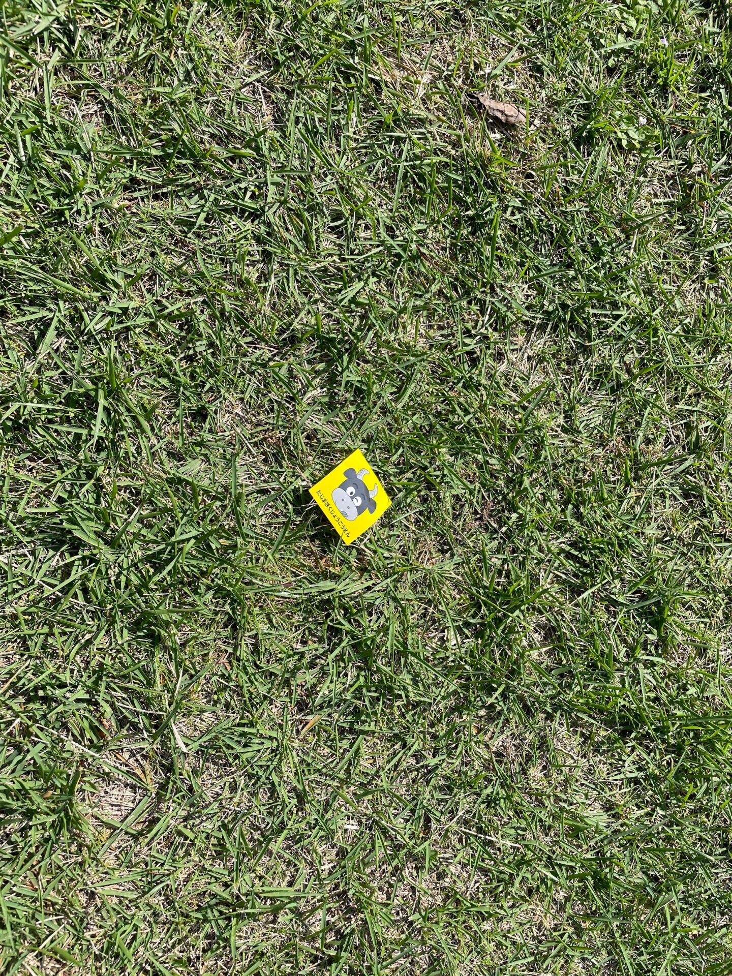 第313回学生ブログ【29きゅうDiary】「たじまはでっかいどう」