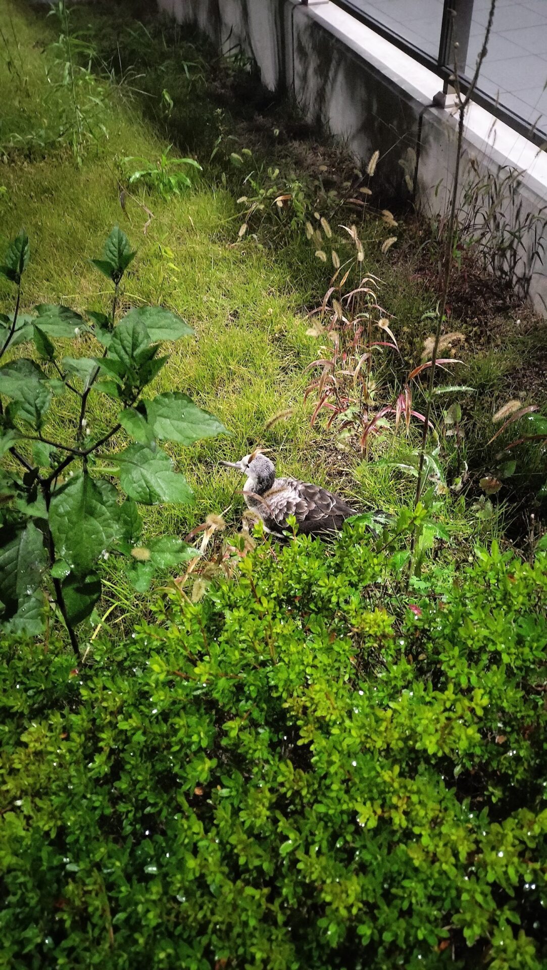 第317回学生ブログ【29きゅうDiary】「とりあえず生きてたら大丈夫！ね！」