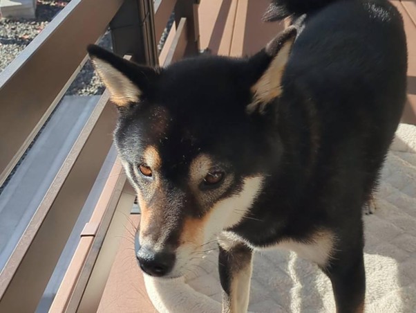 第323回学生ブログ【29きゅうDiary】「12月15日の変」