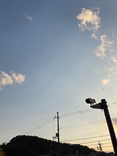 第327回学生ブログ【29きゅうDiary】「豊岡鳥事情」