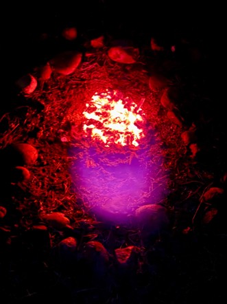 第332回学生ブログ【29きゅうDiary】「どうしてもどうしても」