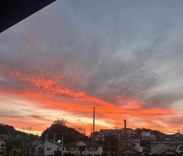 第351回学生ブログ【29きゅうDiary】「4年間」