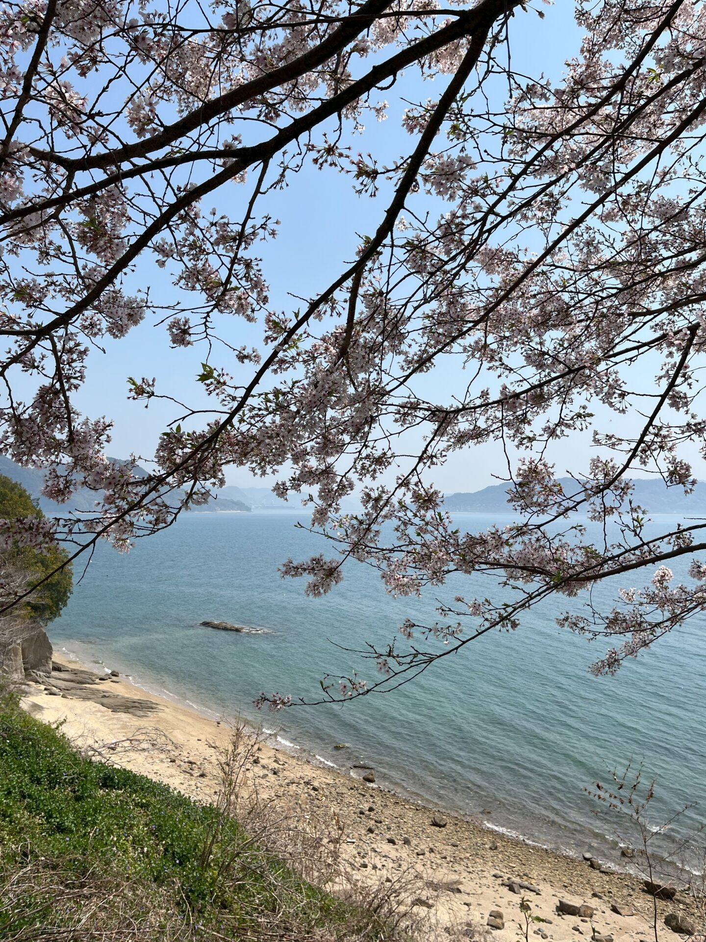 第353回学生ブログ【29きゅうDiary】「旅の途中に」