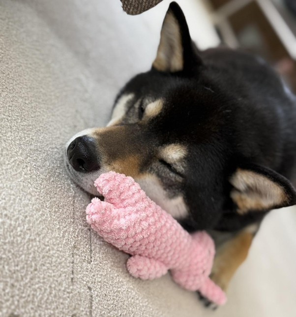 第354回学生ブログ【29きゅうDiary】「4月17日の変」