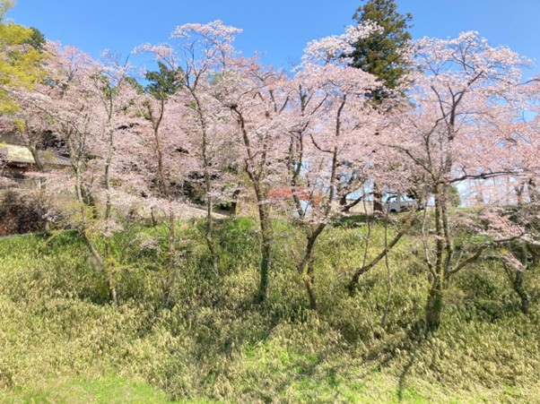 第355回学生ブログ【29きゅうDiary】「4回生の受験記」