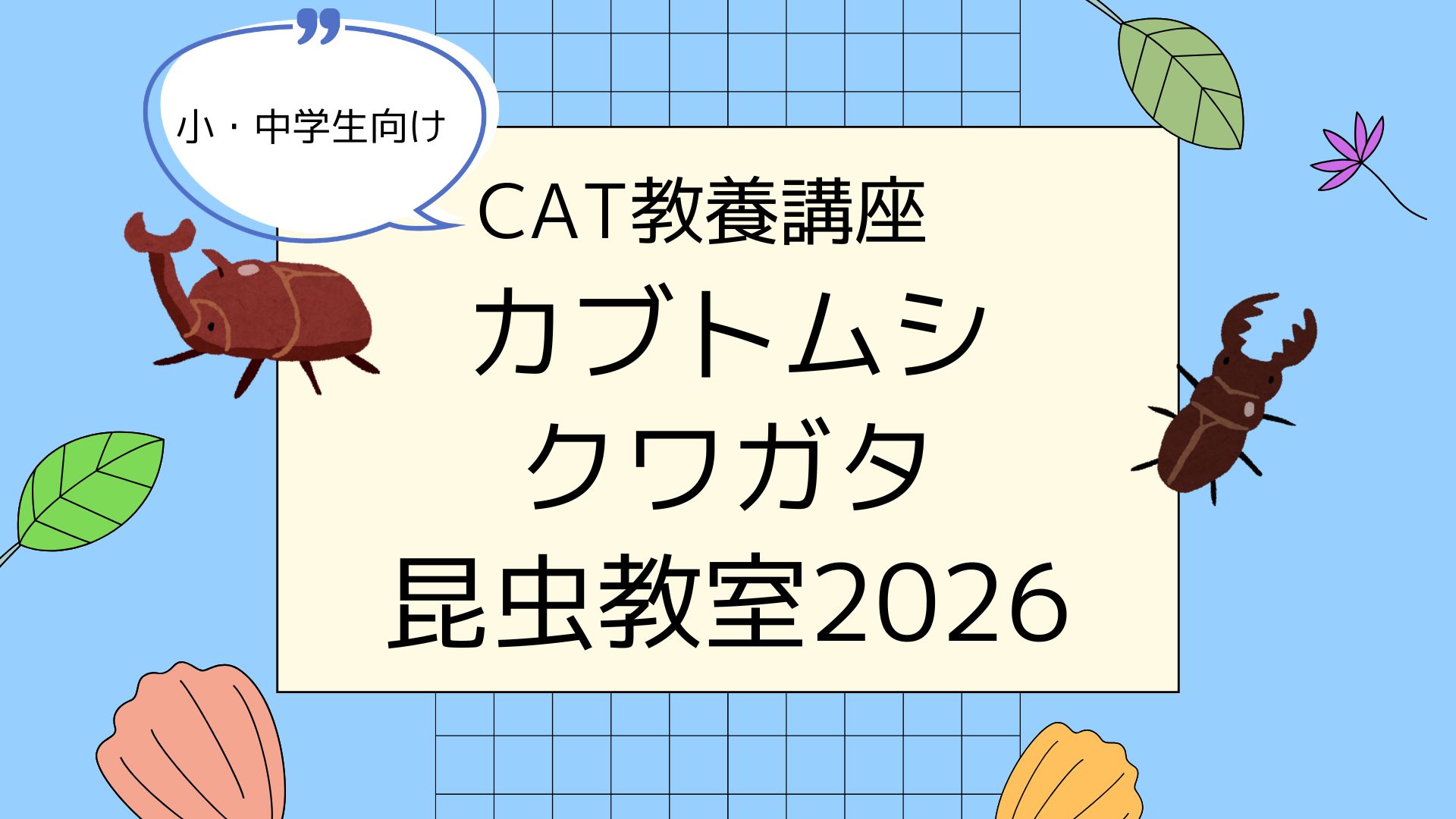 【好評につき継続開催！】第１１回CAT教養講座「カブトムシ・クワガタ昆虫教室2026」