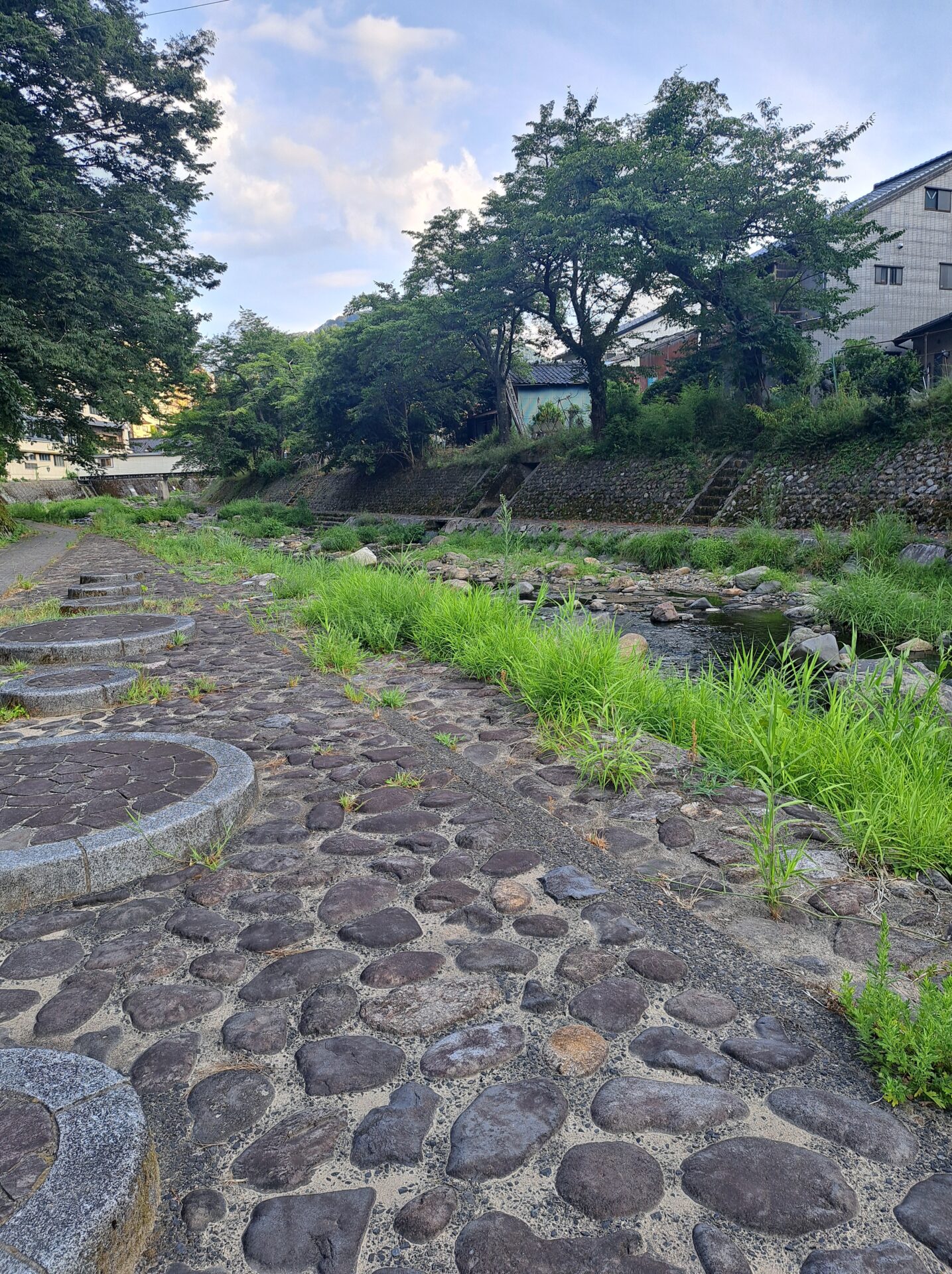 第398回学生ブログ【第六感研究会】「圧倒的憩い」